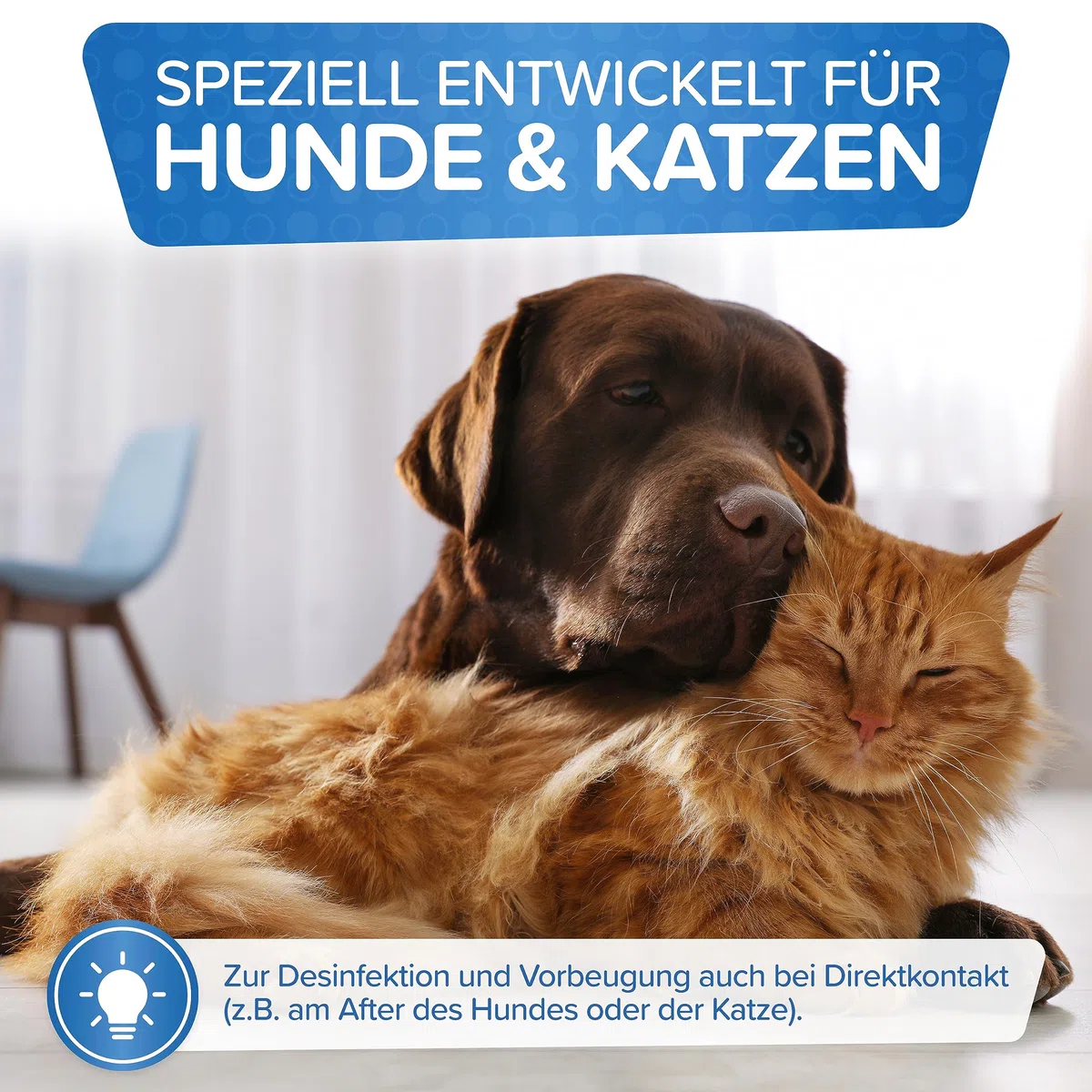 Patronus Giardien-Spray speziell für Hund & Katze 500ml - Hygiene-Spray für Haustiere als Desinfektionsmittel für Oberflächen gegen Viren, Bakterien & Pilze - hochwirksam & hautschonend