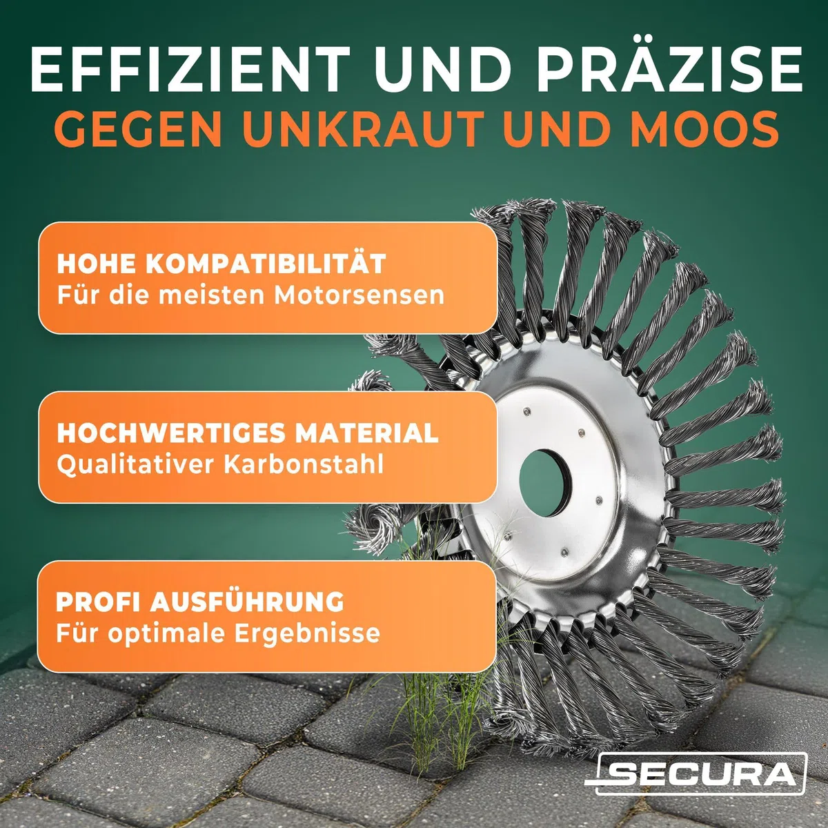 SECURA Profi Unkrautbürste Fugenbürste 25,4x200mm kompatibel mit Motorsense und Freischneider | Wildkrautbürste für Motorsense Unkrautentfernung mit 25,4mm Bohrung | Drahtbürste für Freischneider