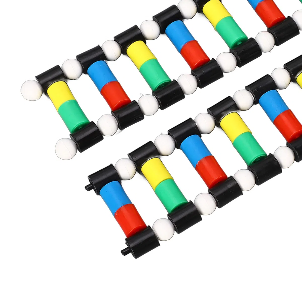 Molekularer Modellbausatz für die DNA-Anzeige, Doppelhelix-Strukturmodell mit Mehreren Farben, Einfacher Zusammenbau, Geeignet für den Biologieunterricht und die Demonstration