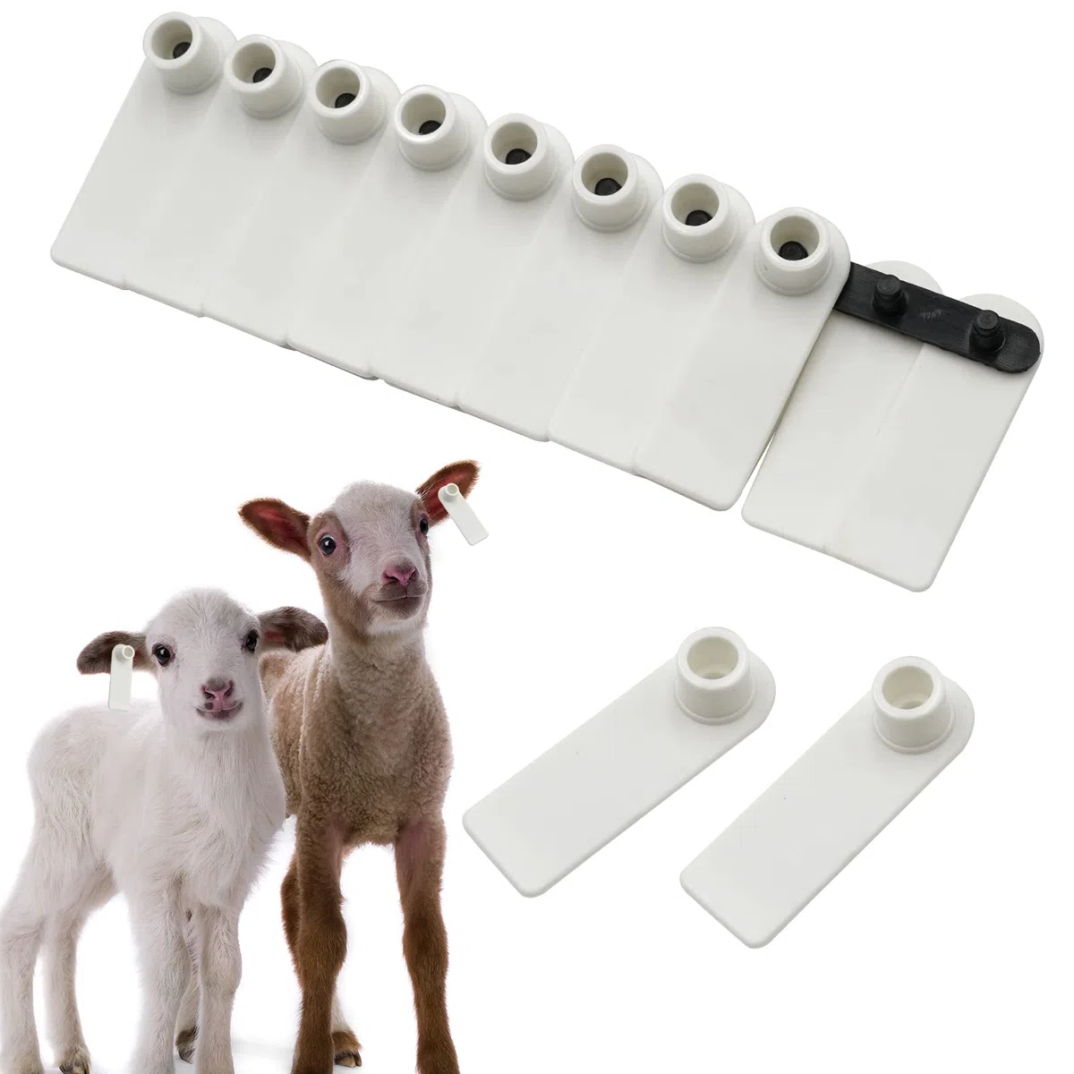 Blank Ohrmarken 100 Stück Blank Kunststoff Vieh Ohrmarken für Schweine Ziegen Schafe Rinder Kalb Kühe Tier (weiß)