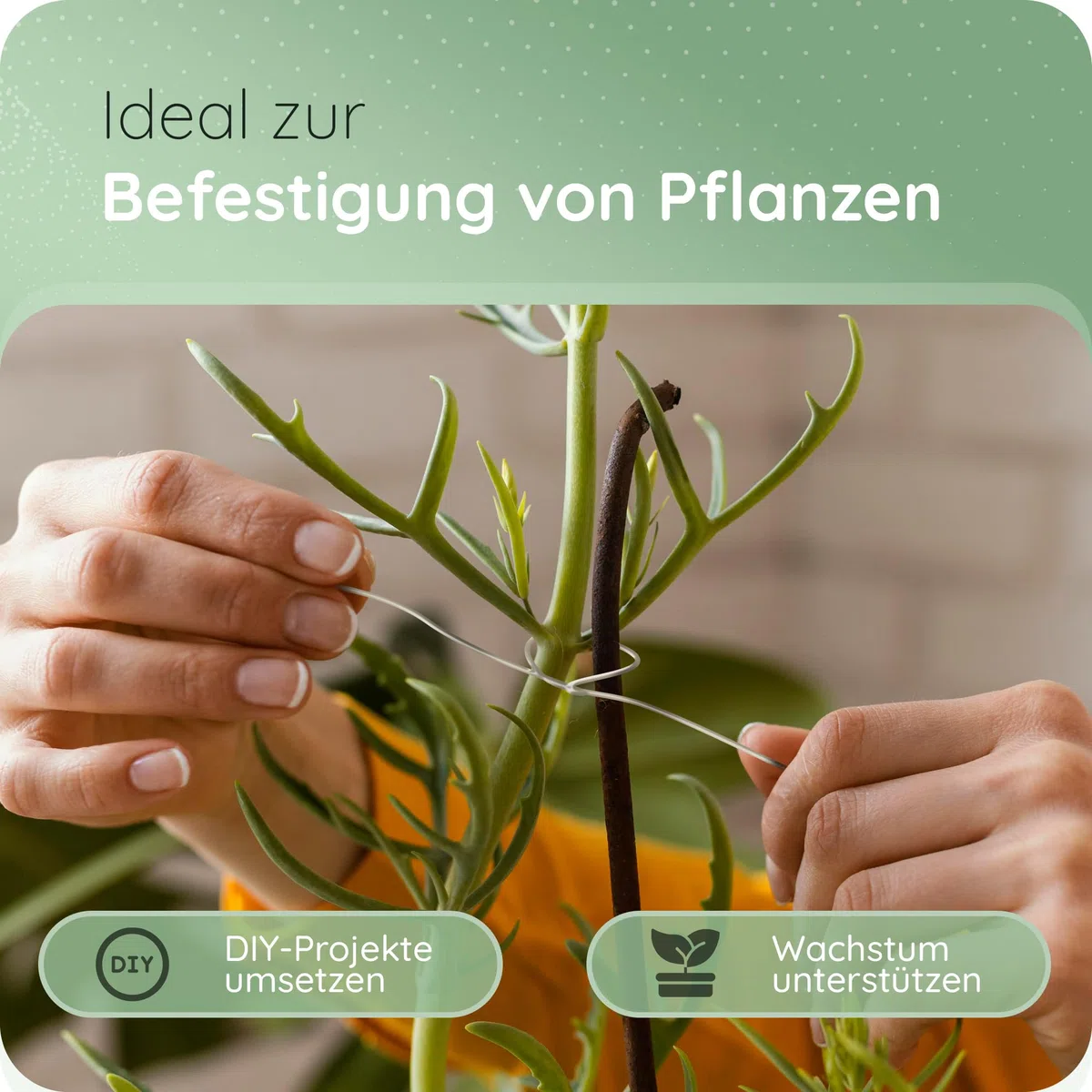 Novaliv 60 Meter Aluminiumdraht 2mm Champagner, Basteldraht ideal als Biegedraht zum basteln, Vielseitig für DIY-Projekte und Dekorationen, 60m Rolle Dekodraht, Blumendraht, kein Schmuckdraht