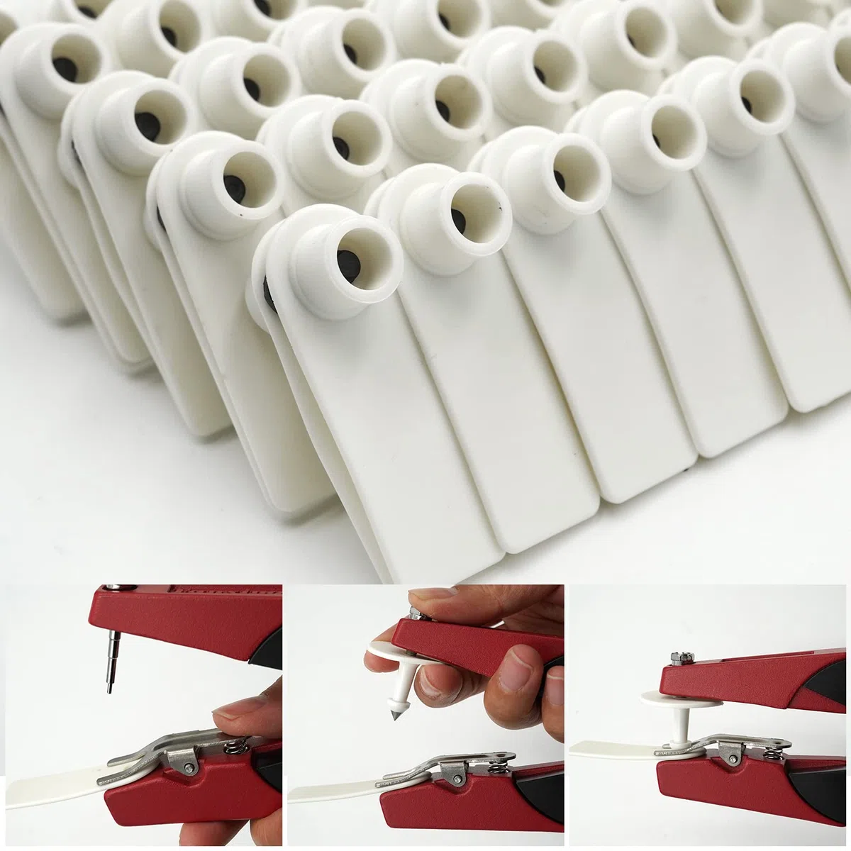 Blank Ohrmarken 100 Stück Blank Kunststoff Vieh Ohrmarken für Schweine Ziegen Schafe Rinder Kalb Kühe Tier (weiß)